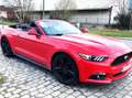 Ford Mustang Mustang Cabrio 2.3 Eco Boost Rouge - thumbnail 12