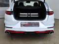 Kia ProCeed / pro_cee'd 1.6 TGDI DCT GT Komfort Navi|4xSHZ Weiß - thumbnail 28