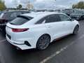 Kia ProCeed / pro_cee'd 1.6 TGDI DCT GT Komfort Navi|4xSHZ Weiß - thumbnail 3
