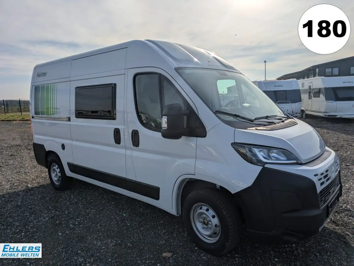 Forster V 541 youngster Bianco - 1