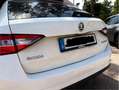 Skoda Superb Active / Heckschaden, technisch gut Weiß - thumbnail 8