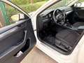 Skoda Superb Active / Heckschaden, technisch gut Weiß - thumbnail 11