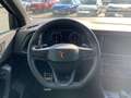 CUPRA Ateca 2.0 TSI VZ 300 DSG 4Drive Negro - thumbnail 13