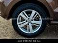 Volkswagen Polo V Match*SHZ*T-LEDER*SPORTSITZE*LMF*GRA*PDC* Braun - thumbnail 30