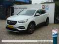 Opel Grandland X 1.2 Turbo Business Executive trekhaak Bianco - thumbnail 1