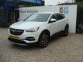 Opel Grandland X 1.2 Turbo Business Executive trekhaak Wit - thumbnail 1
