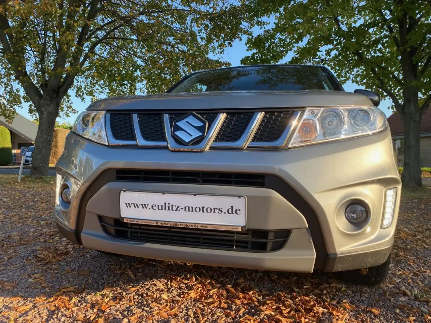 Suzuki Vitara 1.6 DDiS (4x4) Allgrip Comfort Gris - 1