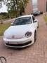 Volkswagen Beetle The 18 TSI DSG Sport - thumbnail 10