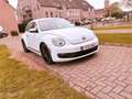 Volkswagen Beetle The 18 TSI DSG Sport - thumbnail 2