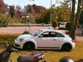 Volkswagen Beetle The 18 TSI DSG Sport - thumbnail 8