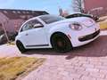 Volkswagen Beetle The 18 TSI DSG Sport - thumbnail 3