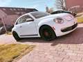 Volkswagen Beetle The 18 TSI DSG Sport - thumbnail 4