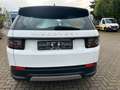 Land Rover Discovery Sport FWD *AHK*STANDHEIZUNG* Blanc - thumbnail 5