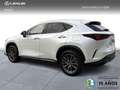 Lexus NX 450h+ 4WD PREMIUM+ Weiß - thumbnail 3