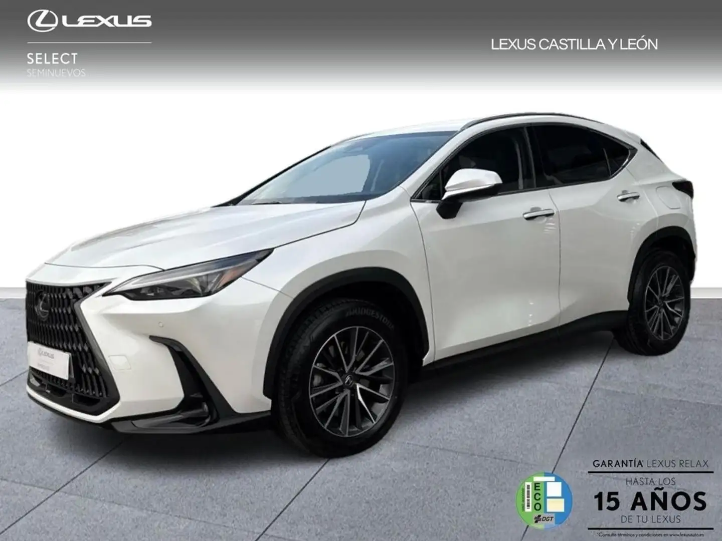 Lexus NX 450h+ 4WD PREMIUM+ Weiß - 1