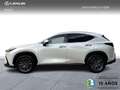 Lexus NX 450h+ 4WD PREMIUM+ Weiß - thumbnail 4