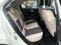 Fiat 500X 1.6 mjt Business 4x2 120cv - thumbnail 13