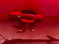 Chevrolet Camaro Camaro 3.6L ZL1 Aut. Cabriolet FULL Rosso - thumbnail 12