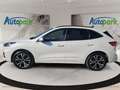 Ford Kuga ST-Line X Plug-In Hybrid Blanco - thumbnail 4