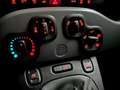 Fiat Panda Waze City Cross/DAB/PDC/KLIMA/SHZ Zwart - thumbnail 16