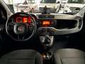Fiat Panda Waze City Cross/DAB/PDC/KLIMA/SHZ Nero - thumbnail 12