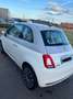 Fiat 500 1.2 69 CH COLLEZIONE (KIT GRUAU) Blanc - thumbnail 1