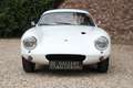 Lotus Elite Super 100 "The first built Super 100" Superb and e Weiß - thumbnail 34