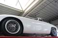 Lotus Elite Super 100 "The first built Super 100" Superb and e Blanc - thumbnail 7