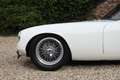 Lotus Elite Super 100 "The first built Super 100" Superb and e Weiß - thumbnail 25