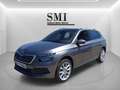 Skoda Kamiq 1.0 TSI Sport 81kW Gris - thumbnail 1