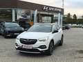 Opel Grandland X Grandland X Phev4x4 * 8 traps*68.800km*Leder*1eig* Wit - thumbnail 1