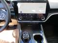Lexus RZ 300e 71.4kWh Aut. Blau - thumbnail 21