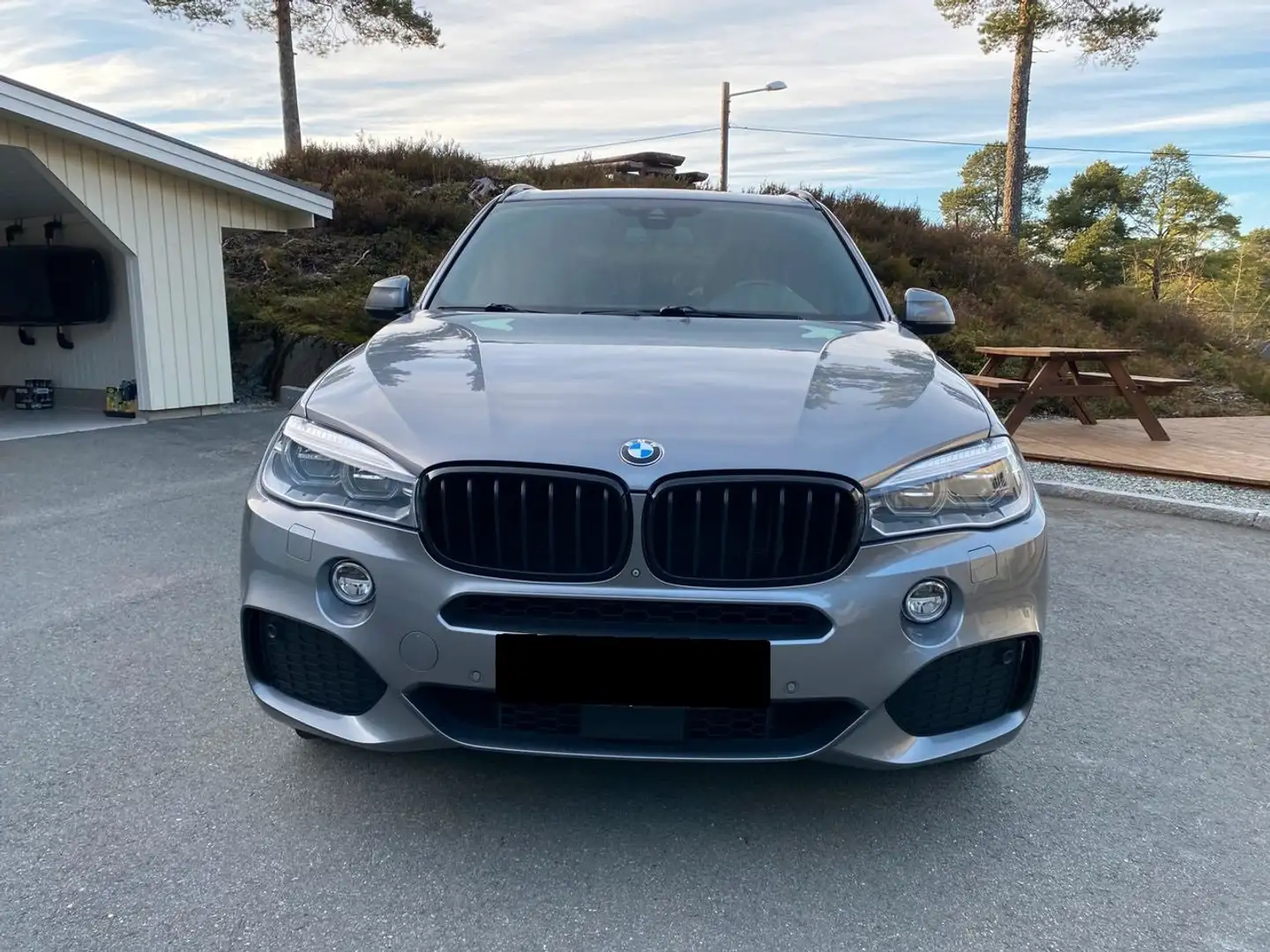 BMW X5 X5 3.0 sdA xDrive35 Gris - 1