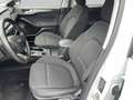 Ford Focus Titanium Aut. Navi LED Apple CarPlay Android Auto Weiß - thumbnail 9