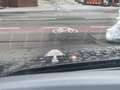 Ford Kuga 2.5 Duratec PHEV ST-LINE X Grau - thumbnail 13