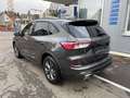 Ford Kuga 2.5 Duratec PHEV ST-LINE X Grau - thumbnail 5