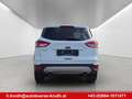 Ford Kuga Titanium,Winter Paket,Panorama Dach,Navi.... Weiß - thumbnail 8