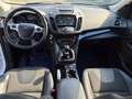 Ford Kuga Titanium,Winter Paket,Panorama Dach,Navi.... Weiß - thumbnail 9