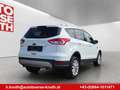 Ford Kuga Titanium,Winter Paket,Panorama Dach,Navi.... Weiß - thumbnail 4