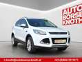 Ford Kuga Titanium,Winter Paket,Panorama Dach,Navi.... Weiß - thumbnail 1