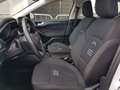 Ford Focus Focus Active SW 1.0t ecoboost h 125cv Weiß - thumbnail 12