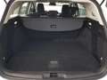 Ford Focus Focus Active SW 1.0t ecoboost h 125cv Weiß - thumbnail 15