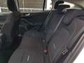Ford Focus Focus Active SW 1.0t ecoboost h 125cv Weiß - thumbnail 14