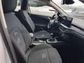 Ford Focus Focus Active SW 1.0t ecoboost h 125cv Weiß - thumbnail 24