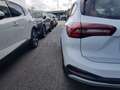 Ford Focus Focus Active SW 1.0t ecoboost h 125cv Weiß - thumbnail 19