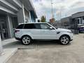 Land Rover Range Rover Sport Range Rover Sport 3.0 sdV6 HSE Dynamic 249cv my19 - thumbnail 4