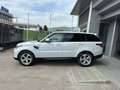 Land Rover Range Rover Sport Range Rover Sport 3.0 sdV6 HSE Dynamic 249cv my19 - thumbnail 3