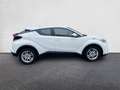 Toyota C-HR Hybrid Business-Edition Wit - thumbnail 4