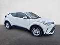 Toyota C-HR Hybrid Business-Edition White - thumbnail 3