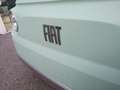 Fiat Topolino Elektro ab 15 Jahren fahrbar Grün - thumbnail 15